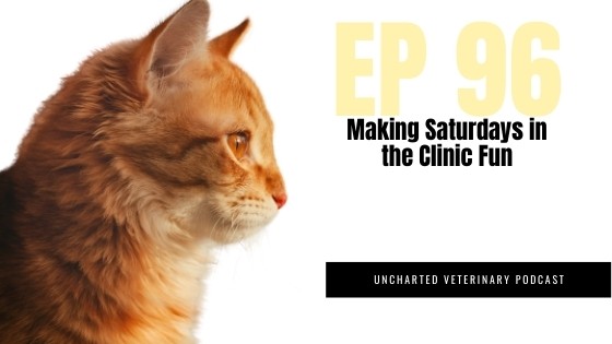 Veterinary Clinic Fun