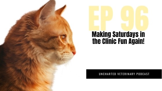 Veterinary Clinic Fun