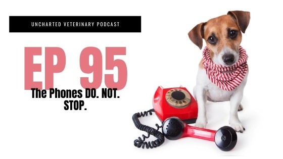 Veterinary Phone Calls