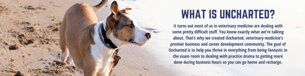 Photo of dog on beach, description of the Uncharted Veterinary Community