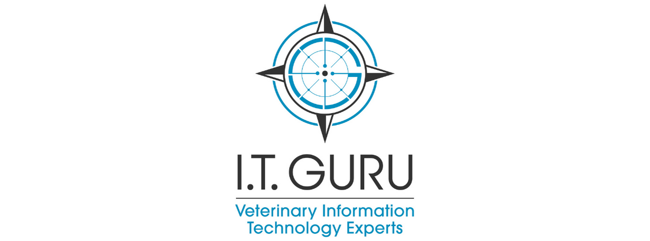 ITguru Logo