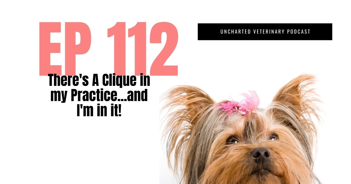 Cliques in Veterinary Practices