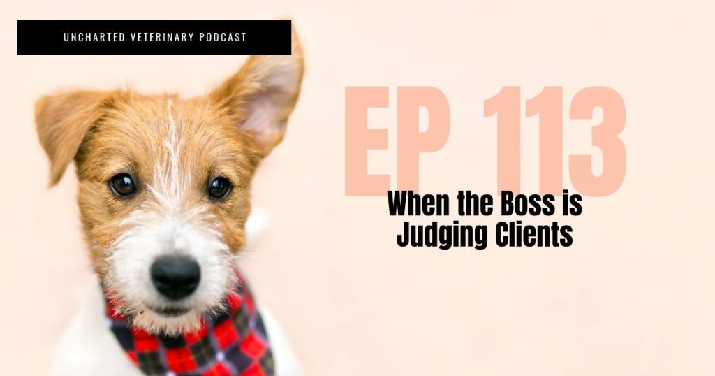 Boss judging veterinary clients