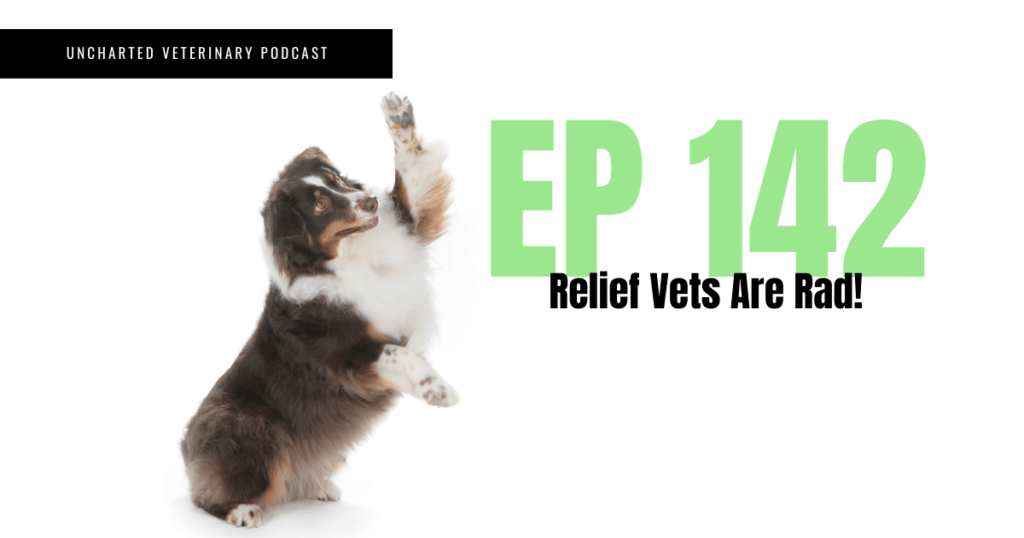 Uncharted Veterinary Podcast Episode 142 - Relief Vets are Rad