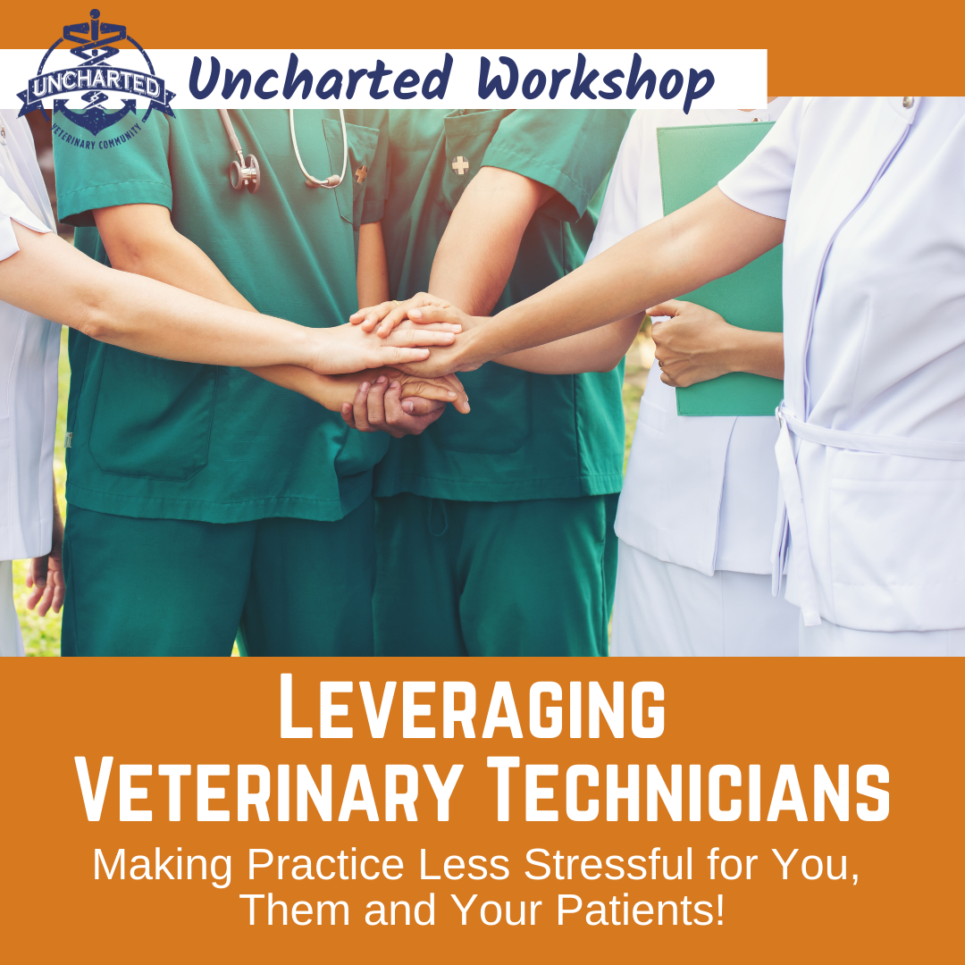 leveraging veterinary technicians workshop graphic