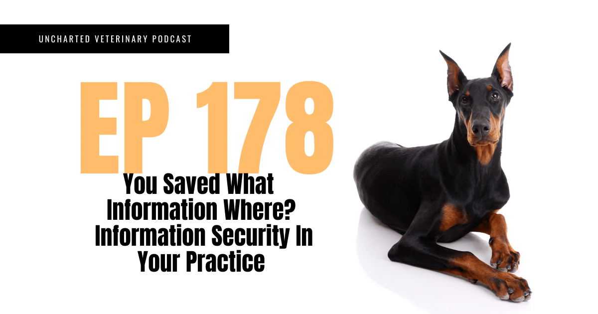 Uncharted Veterinary Podcast Episode 178 Cover Image - Information Security