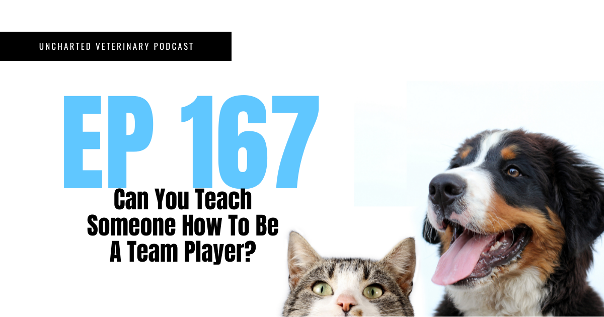 Uncharted Veterinary Podcast Episode 167 - Can you teach someone how to be a team player