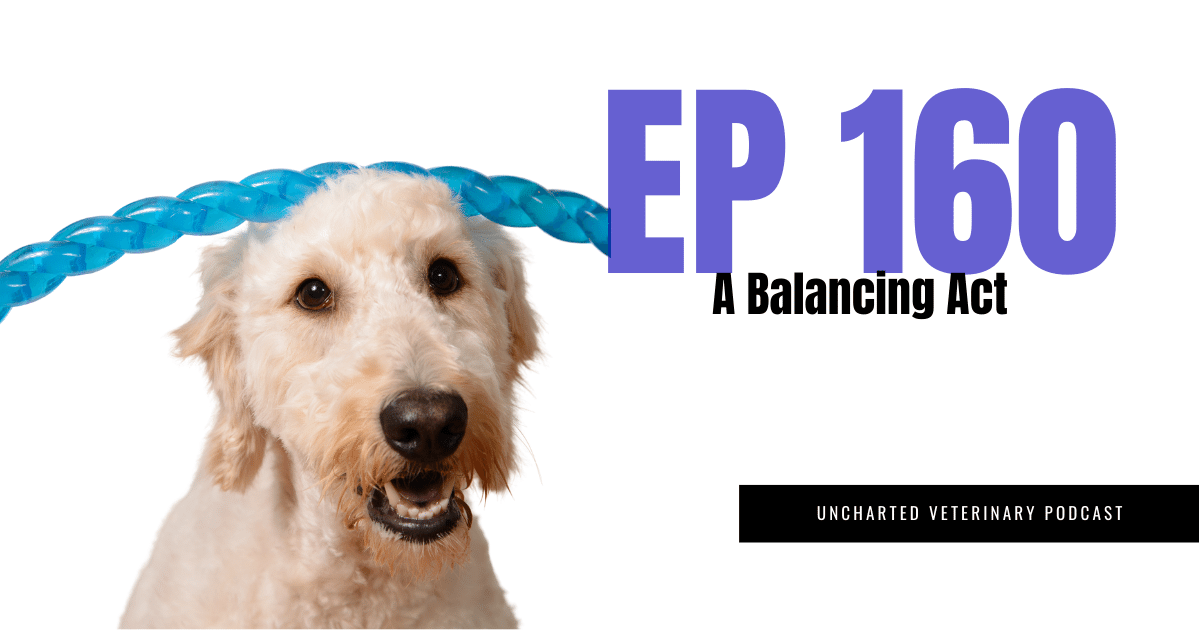 Uncharted Veterinary Podcast Episode 160 - A balancing act cover image