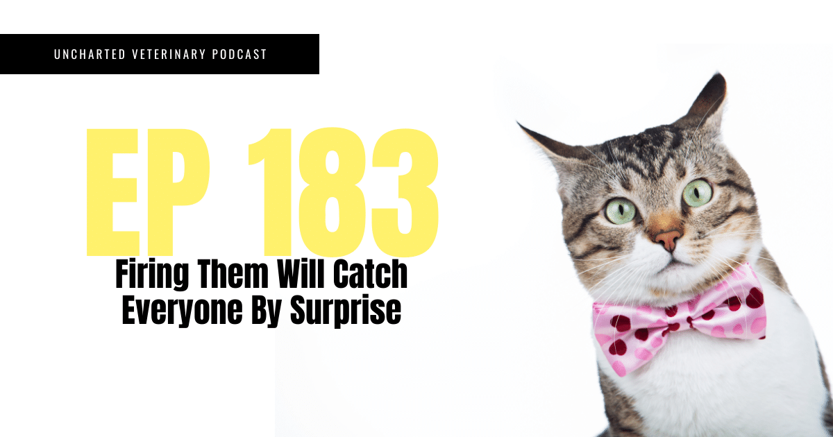 Uncharted Veterinary Podcast Episode 183 Cover Image - firing them will catch everyone by surprise, photo of cat looking surprised