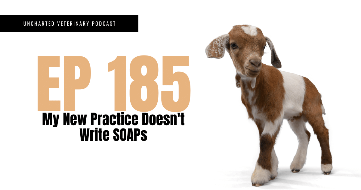 Uncharted Veterinary Podcast Episode 185 - My new practice doesn't write soaps