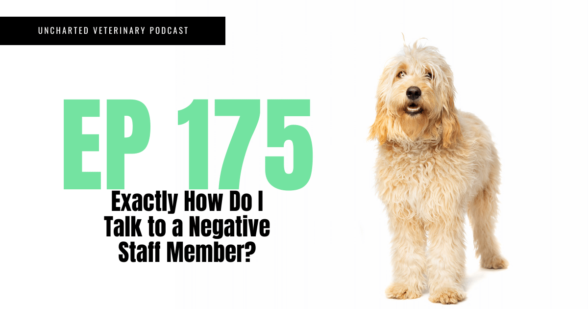 Uncharted Veterinary Podcast Episode 175 Cover Image How do I talk to a negative staff member