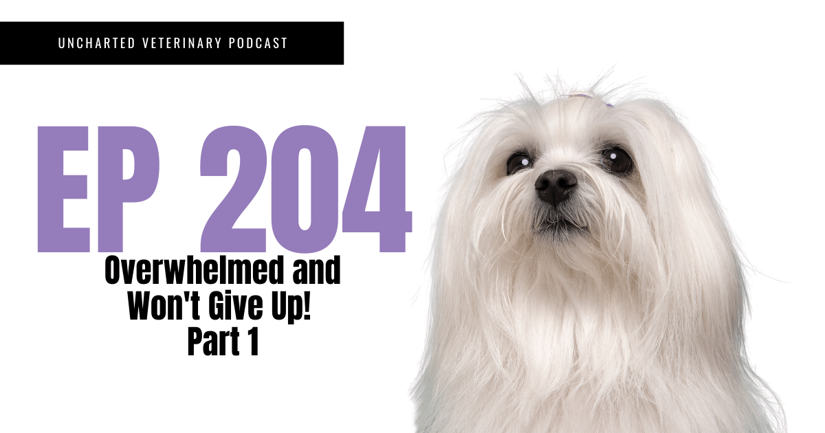 Uncharted veterinary podcast episode 204 cover image