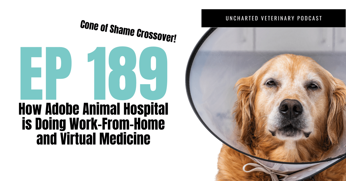 Uncharted Veterinary Podcast Episode 189 - How Adobe Animal Hospital is doing work-from-home and virtual medicine