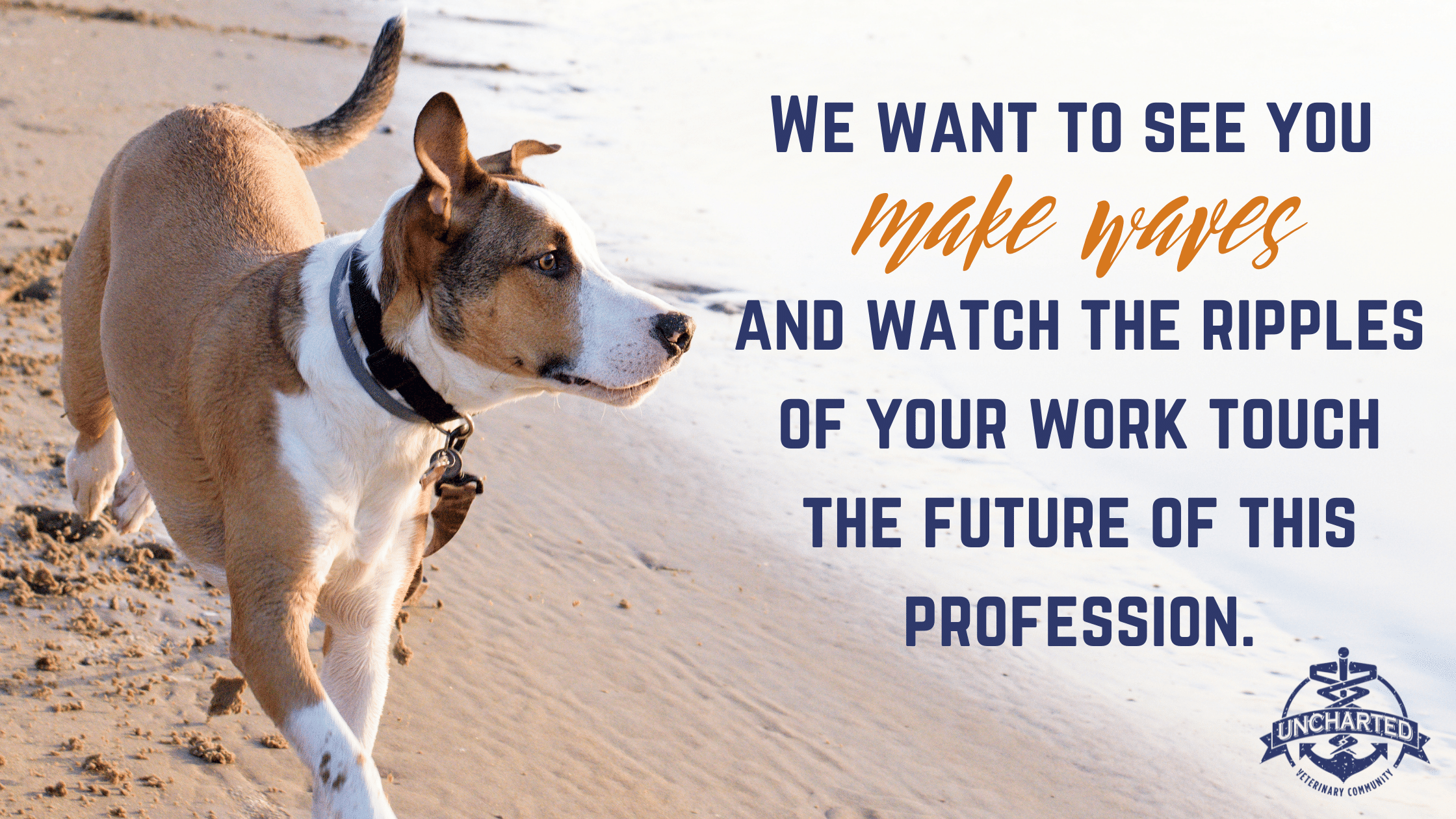 photo of dog running on a beach with text We want to see you make waves and watch the ripples of your work touch the future of this profession