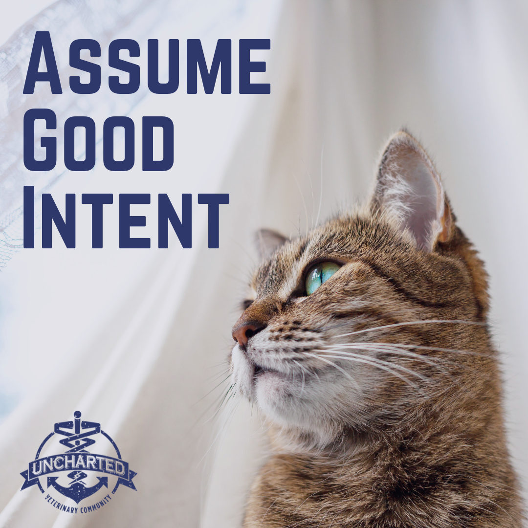 Uncharted Treasure Chest photo of a cat with text "Assume Good Intent"