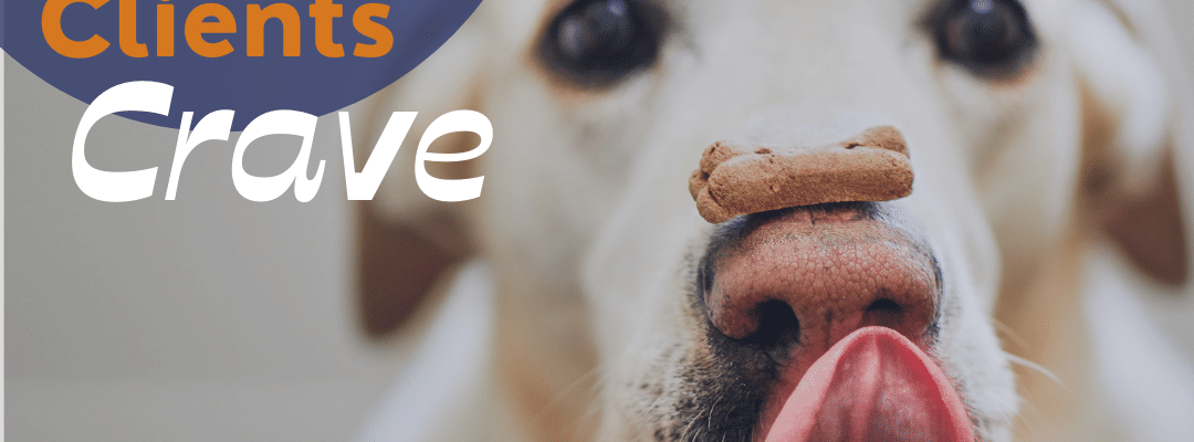 creating content that clients crave with photo of a dog and a treat on its nose