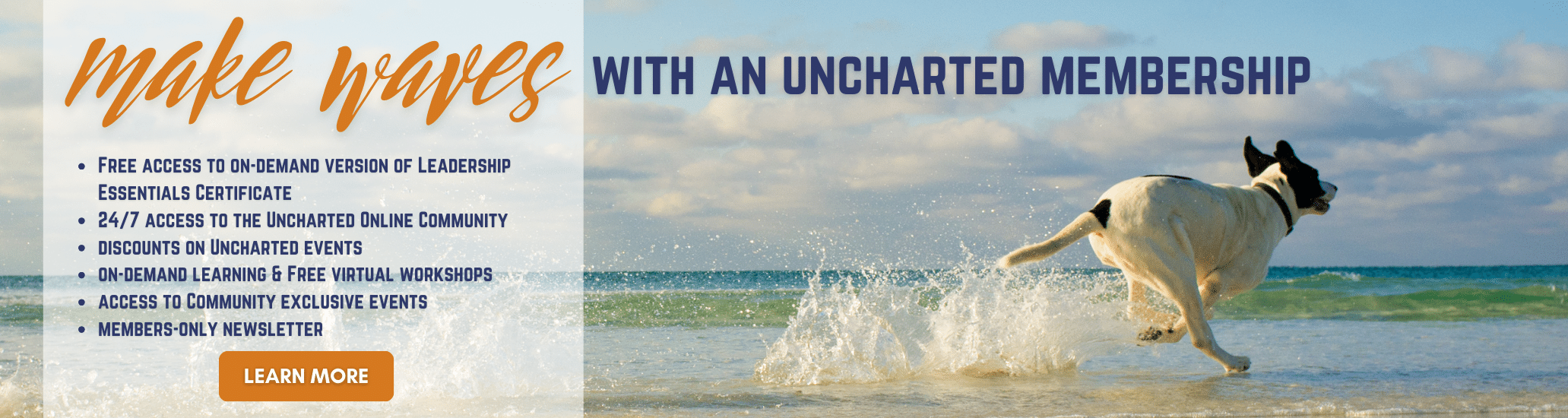 Make waves with an Uncharted Membership banner